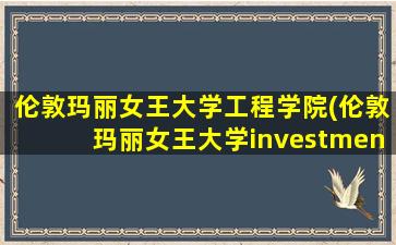 伦敦玛丽女王大学工程学院(伦敦玛丽女王大学investment and finance)